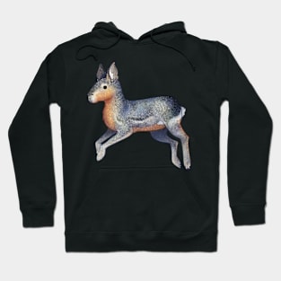 Cozy Patagonian Mara Hoodie